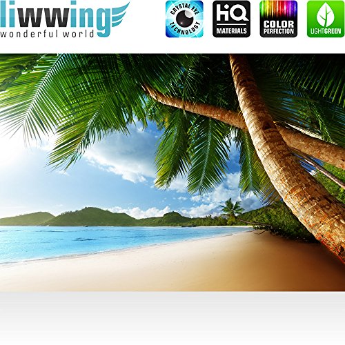 Vlies Fototapete 400×280 cm PREMIUM PLUS Wand Foto Tapete Wand Bild Vliestapete – LONELY BEACH – Strand Meer Palmen Beach 3D Ozean Palme – no. 004 - 2