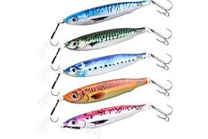 Señuelos de Pesca Hundidos con Impresión 3D, WASAGA 5 Piezas 20g/30g/40g/60g/80g Cebo Giratorio de Metal Duro para Agua Salada y Agua Dulce para Lubina y Caballa y Señuelo de Jigging