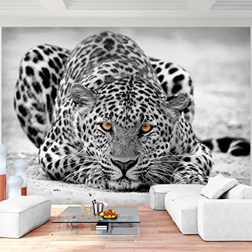 Fototapete Leopard 308 x 220 cm - Vliestapete - Wandtapete - Vlies Phototapete - Wand - Wandbilder XXL - !!! 100% MADE IN GERMANY !!! Runa Tapete 9034010b