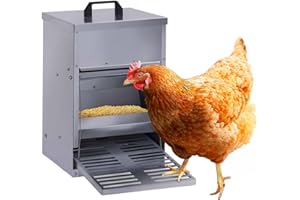 IDMarket - Comedero con pedal para gallinas Distribuidor Automático 5 kg Anti-plagas
