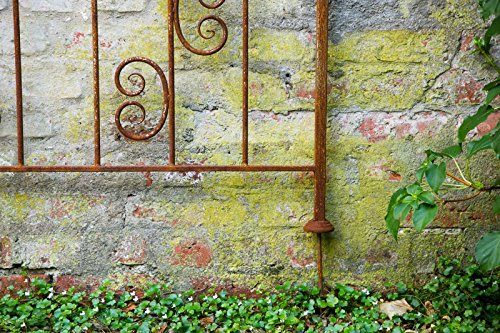 Rankzaun aus Metall Steckzaun Rost 115 x 135cm Metallzaun Rankgitter Beetzaun - 3