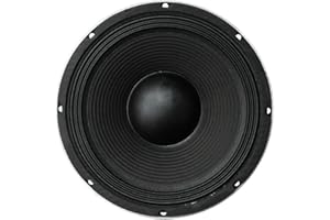 SoundLAB 10" Black 300 W Bass Speaker (8 Ohm)