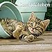 Produktbild Samtpfötchen 2018 - Broschürenkalender - Wandkalender - Katzenkalender - mit herausnehmbarem Poster - Format 30 x 30 cm
