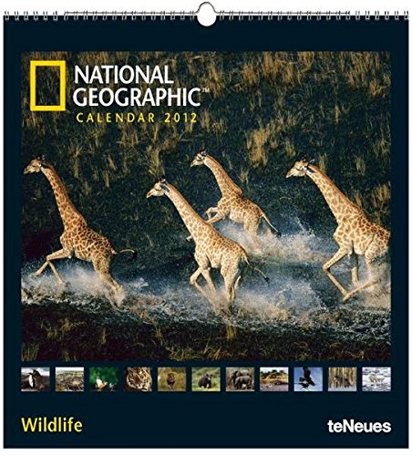 National Geographic Calendar Wildlife 2012