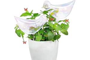 SL-JIJI Glass Bird Plant Waterer | Self-Watering Spikes for Indoor Plants | Decorative Automatic Irrigation Globes | Gifts for Gardeners & Elderly | 2-Pack Colourful Bulbs