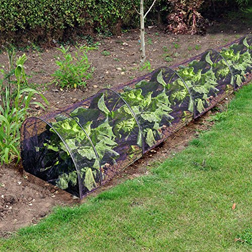Simply Direct Set of 1 Protective Net Grow Tunnel - Versatile, Compact, Bundle Deals - Plant Growth, Pest Defense, Customisable Microclimate - Garden Cloche - 305cm x 47cm x 47cm