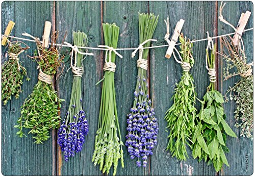 mySPOTTI moderner Spritzschutz Motiv Kräuter der Provence Kräuter an der Leine Aluminium Küche Herd Kochfeld