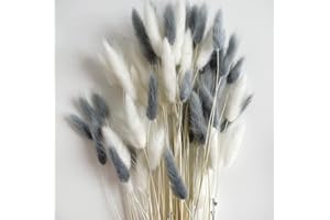 VELAFEE 100 stems (Grey and White) Bunny Tails Pampas Grass Home decor cake topper 45cm Rabbit Tails Dried Flowers Bouquet Best for Boho Decor Table Decoration Bedroom Decor