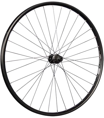 Rayon De Rechange DT Swiss 307 Mm Pour Roue MTB XR 1700 Spline 29 CL 25 Boost - Noir