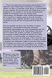 Image de Les Locomobiles