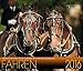 Fahren 2016 by 