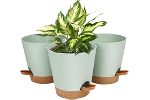 OFFCUP Maceteros Decorativos Interior con Agujeros de Drenaje, 3pcs Macetas de Riego Automático con Agujeros 20CM, Macetas Plástico con Plato, Macetas Plástico para Interior y Oficina