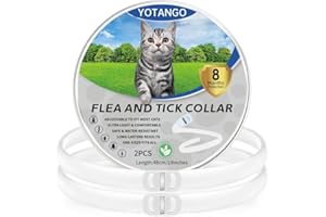 YOTANGO Flea Collar for Cats, Cat Flea Collars, Cat Flea and Tick Collar, Adjustable Flea Treatment Cat with 8 Months Natural Protection, Waterproof Cat Flea Collar for Kitten Medium Large Cats White 2Pcs