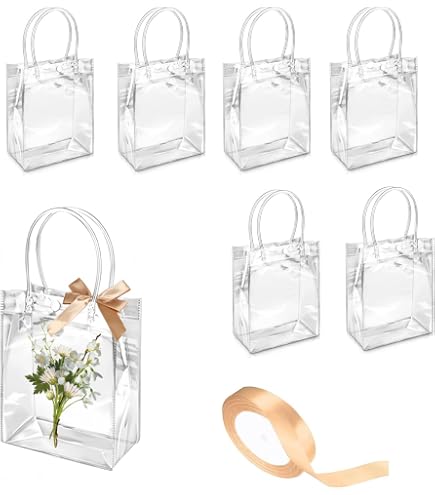 Sacchetto Regalo Trasparente Con Manici Sacchetto Di Plastica Bianco Glassato Per Regali