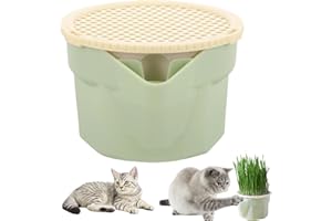 EYCCIER Jardinière d'herbe à chat 3,5 pouces Boîte de tasse d'herbe à chat hydroponique en plastique facile à cultiver Jardinière d'herbe à chat hydroponique sans sol Kit de culture d'herbe de blé réutilis