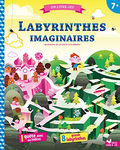 couverture de : Labyrinthes imaginaires