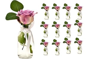 ‎CASAVETRO casavetro 12 x kleine Vasen Glasflaschen Deko inkl. Schleife Glasfläschchen Landhaus Vintage Vase Flasche Glas Mini Dekoflaschen(12 Stück-TR-Milch +W.S)