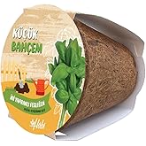 My Little Garden Basil Seed Growing Set
