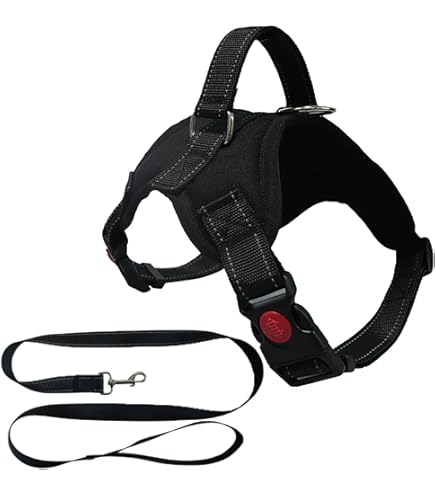 Pettorina Per Cani Taglia XL - Imbracatura Leggera Antistrappo, Regolabile E Comoda, Con Maniglia E Riflettenti - Foto 6