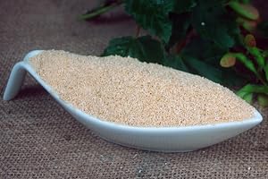 Naturix24 – Lönnsocker – 500 g
