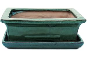 exotenherz - Bol à bonsaï avec soucoupe taille 3 - Vert - carré - Modèle G29 - L 18 cm - l 13 cm - H 6 cm