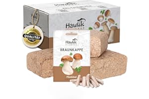 Hawlik Pilzbrut - The original - burgundy mushrooms forest garden culture to grow yourself - easy-to-harvest fresh mushrooms