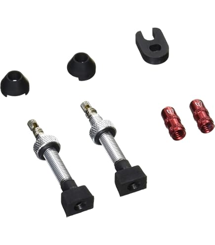 Valve Tubeless DT Swiss – 26-35 Mm, Argent, Universelle Pour VTT, Design élégant Et étanche