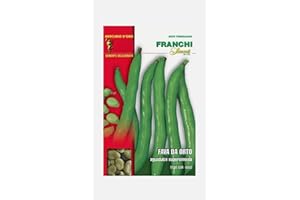 Fava da orto Supersimonia Aguadulce da 1KG, Franchi Sementi di Qualità