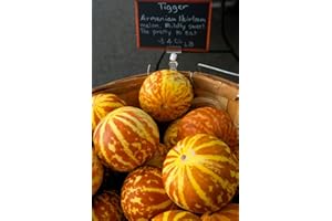 GROW YOUR SECRET GARDEN Tigger Melon 5 Seeds