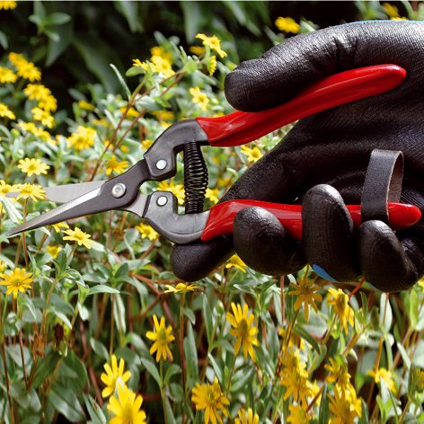 Preisvergleich Produktbild Blumen Ausputzschere