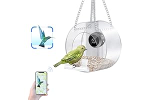 GDWD Window Bird Feeder with Camera fit for Small Bird, Clear Bird House, Small Hanging Bird Feeders mit Smart Camera for Outside Outdoor Garden Wild Bird Watching Photo Taking Video Recording (Round)