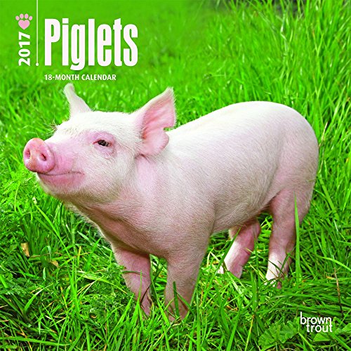 Download Piglets 2017 Mini Wall Calendar