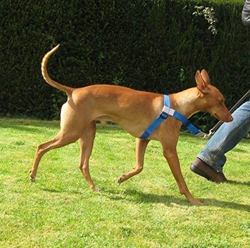 Arnés antitironesParte delantera en verde con material reflectante Scotchlite.