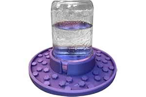 WHNBUIJ Bee Water Bowl - Bee Drinking Station, Hive Bee Water Feeder | Sugar Water Entrance Feeder Bee Drinking Container, Bee Drinking Water Station, Hive Bee Drinking Source, Used to Feed Water, Sugar Syrup