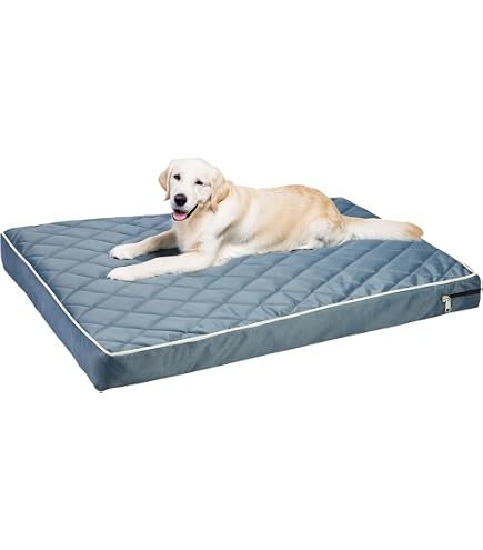 Human-Sized Dog Bed – 63"x36.6"x11" Large, Removable Cover, Waterproof, Bonus Blanket, Grey
