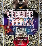 Cover zum Buch Dark Storm