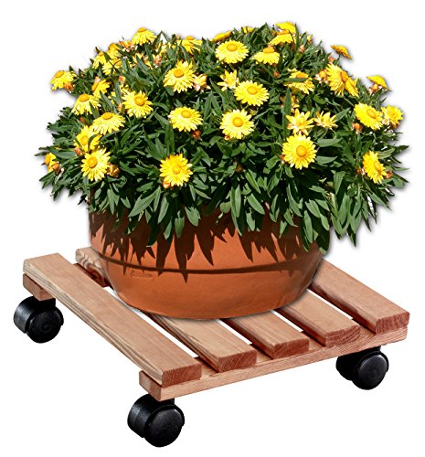 Wagner 20015201 Multiroller Toskana eckig 30 x 30 cm, hell - 2