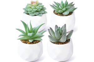 ALAGIRLS Mini sztuczne sukulenty w doniczkach, dekoracyjne sztuczne rośliny do wnętrz, realistyczne sztuczne rośliny z tworzywa sztucznego, w mini białych plastikowych doniczkach do sypialni, biura,