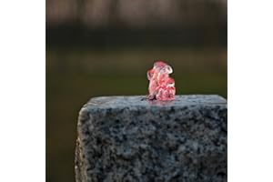 CLGarden LED Ring rot Lichtkranz für Springbrunnen Beleuchtung Quellstein Pumpe Springbrunnenpumpe