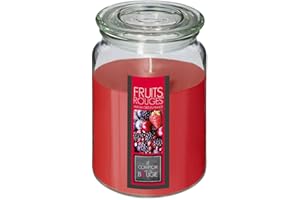 ATMOSPHERA CREATEUR D'INTERIEUR Atmosphera - Bougie parfumée - fruits rouges - 510g