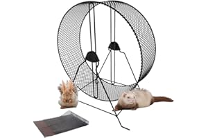 SESERRYY Roue d'exercice Silencieuse pour Hamster avec Gerbille Chinchillas écureuil Lapin Rats Gerbilles Souris Mini Hérissons, Diamètre 25cm/ 9.84inch, Moyens Animaux de Compagnie,2pcs Film Protecteur