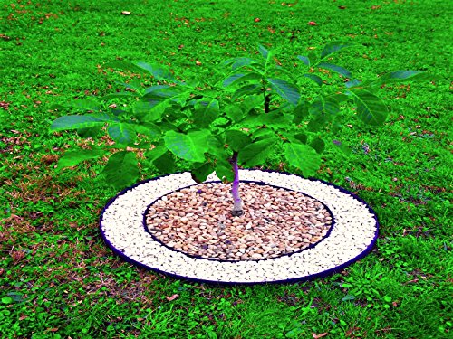 10 Meter – flexible Kunststoff   Rasenkanten   mit 60 Securing   Anker gratis – Flexible Garteneinfassung , Flexible Rasenkanten ,   Kunststoff-Garteneinfassung ,   Flexible Garten Rasen,   Garten-Ideen,   Garten Entwurf. (10, Schwarz) - 5