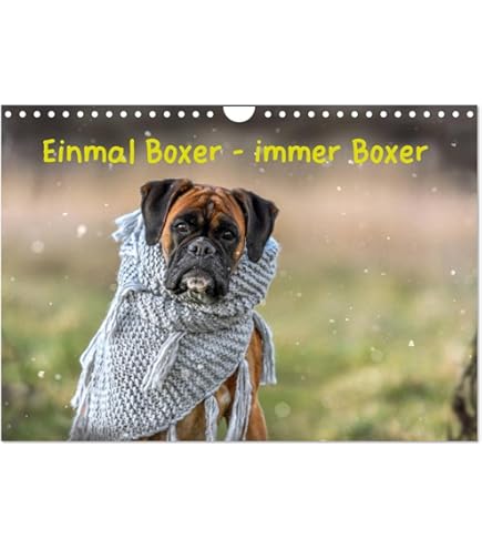 The Boss Bruce Kalender 2026 - A3 Wandkalender 30x42cm Mit Fotografie