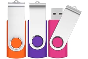 2GB Memory Sticks 3 Pack,SRVR USB Flash drive 2GB 2.0 Swivel Thumb Drives Data Storage Jump Drive Zip Drive Memory Sticks External Devices with Led Indicator(Mixed Color With Lanyard)