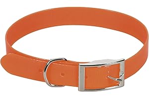 CHAPUIS SELLERIE Collier pour Chien Sangle Fluo PVC Orange Largeur 15 mm, Longueur 35 cm, Taille S