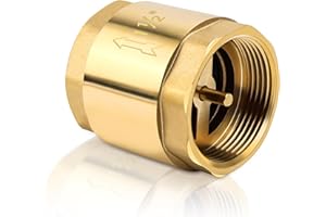 BHHTBB Messing Rückschlagventil 1 1/2 zoll DN40 Rückflussverhinderer mit Beidseitigem Innengewinde, Rostfrei und Wasserdicht für Waschmaschine, Brunnen, Garten, Pumpe, Fass