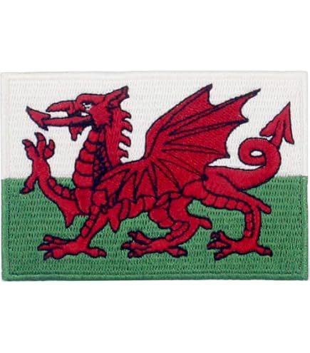 Badge émaillé Métal Dragon Rouge Du Pays De Galles - Épingle à Nourrice, Finition Brillante, Taille Environ 10x19mm