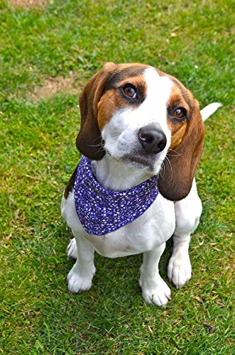 Dimples-Dog-Bandana-Purple-Fantasy-Stars-handmade-for-all-sizes-and-breeds