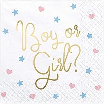 Gender Reveal Party Dekoration - Blaue & Rosa Girlanden Für Baby Shower