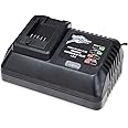 Activ Energy Universal Battery Charger for Ferrex Battery Tools Garden & Cordless Tools comes with UK Plug